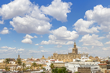 View from the Golden Tower (Torre del Oro) to the Cathedral, Seville, Andalusia, Spain, Europe