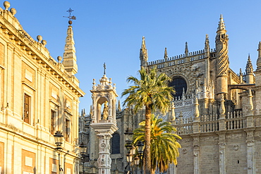 Cathedral of Seville and Archivo de Indias, UNESCO World Heritage Site, seen from Plaza del Triunfo at first sunlight, Seville, Andalusia, Spain, Europe