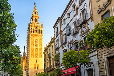 The Giralda Bell tower at first sunlight, UNESCO World Heritage Site, Seville, Andalusia, Spain, Europe