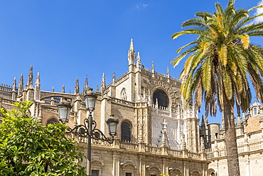 Cathedral of Seville, UNESCO World Heritage Site, Seville, Andalusia, Spain, Europe