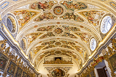 Chapel inside San Luis de los Franceses Church, Seville, Andalusia, Spain, Europe