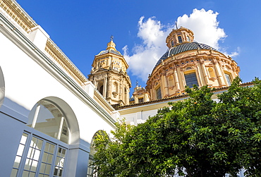 Cupula of San Luis de los Franceses Church, Seville, Andalusia, Spain, Europe