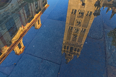 Reflection of the Giralda Bell Tower in a puddle, Seville, Andalusia, Spain, Europe