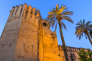 Illuminated walls of the Royal Alcazars at dusk, Cordoba, Andalusia, Spain, Europe