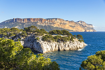 View over the Calanque de Port Pin and Cap Canaille, Calanques National Park, Cassis, Bouches du Rhone, Provence, France, Mediterranean, Europe