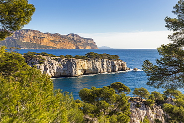 View over the Calanque de Port Pin and Cap Canaille, Calanques National Park, Cassis, Bouches du Rhone, Provence, France, Mediterranean, Europe