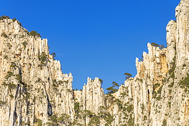 Rock formation at Calanque de l'Oule, Calanque National Park, Marseille, Bouches du Rhone, Provence, France, Europe