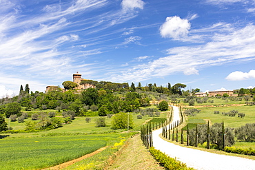 Winding path and cypress trees leading to Palazzo Massaini under blue skies near Pienza, Tuscany, Italy, Europe