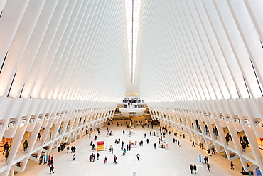 Oculus, World Trade Center Transportation Hub, Financial District, Manhattan, New York City, New York, United States of America, North America