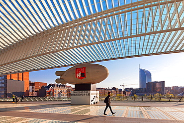 Liege-Guillemins railway station, Liege, Belgium, Europe