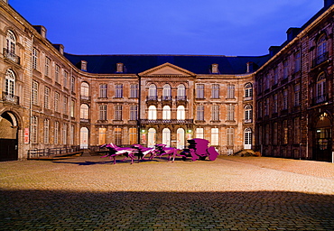 Musee des Beaux-Arts, Arras, Pas-de-Calais, France, Europe