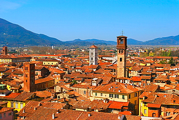 View from Palazzo Guinigi to the Torre delle Ore, Lucca, Tuscany, Italy, Europe