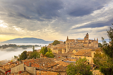 Urbino, Marche, Italy, Europe