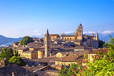 Urbino, Marche, Italy, Europe