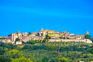 Montefalco, Perugia, Umbria, Italy, Europe