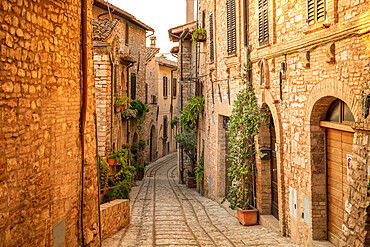 Spello, Perugia, Umbria, Italy, Europe