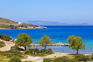 Blefoutis beach, Leros Island, Dodecanese, Greek Islands, Greece, Europe