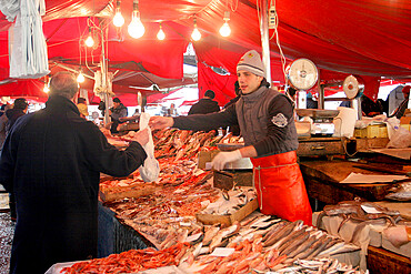 Fish Market, Catania, Sicily, Italy, Europe