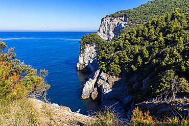 Island of Palmaria, view of the south west coast, Liguria, Italy, Europe