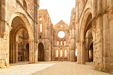 Abbey of San Galgano, Chiusdino, Siena, Tuscany, Italy, Europe