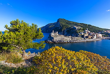 Island of Palmaria, view of Portovenere from Palmaria, Liguria, Italy, Europe