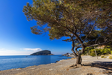 Pozzale, Island of Palmaria, Liguria, Italy, Europe