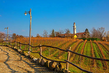 Surroundings of Gavi, Alessandria, Piedmont, Italy, Europe