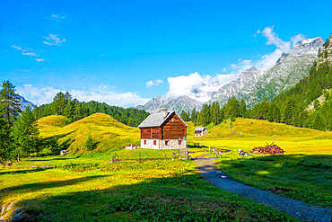 Alpe Crampiolo (Alpe Devero), Parco Naturale Veglia-Devero, Val d'Ossola, V.C.O. (Verbano-Cusio-Ossola), Piedmont, Italy, Europe