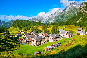 Alpe Crampiolo (Alpe Devero), Parco Naturale Veglia-Devero, Val d'Ossola, V.C.O. (Verbano-Cusio-Ossola), Piedmont, Italy, Europe