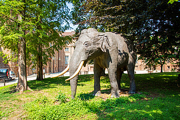 Elephant Fritz, Stupinigi Hunting Lodge, Stupinigi, Turin, Piedmont, Italy, Europe