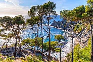 Mont Salva, Six-Fours-les-Plages, Provence-Alpes-Cote d'Azur, France, Mediterranean, Europe