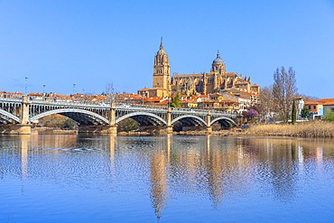 Tormes river, New Cathedral of Salamanca, Catedral de la Asunción de la Virgen, Salamanca, Castile and León, Spain