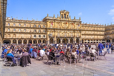 Plaza Mayor, main square, Salamanca, Castile and León, Spain