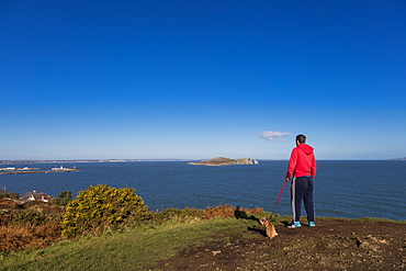 The Cliff Path, Howth, County Dublin, Leinster, Republic of Ireland, Europe