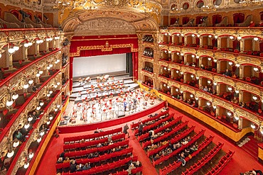 Bellini Theater, Catania, Sicily, Italy