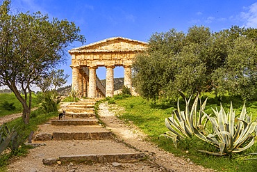 Doric temple, Segesta, Calatafimi , Trapani, Sicily, Italy