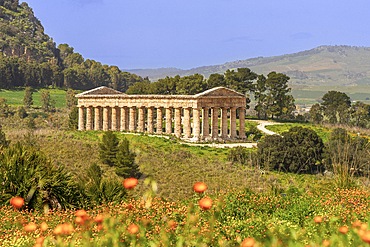 Doric temple, Segesta, Calatafimi , Trapani, Sicily, Italy