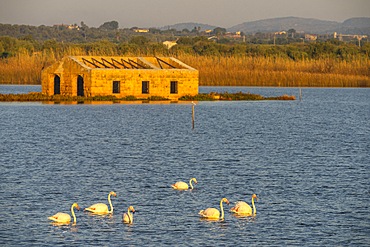 Vendicari Wildlife Oasis, Noto, Syracuse, Sicily, Italy