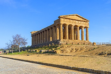 Temple of Concordia, Valley of the Temples, Agrigento, Sicily, Italy