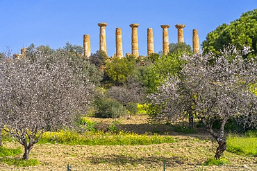 Valley of the Temples, Agrigento, Sicily, Italy