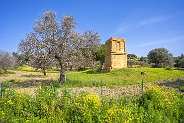 Tomb of Theron, Valley of the Temples, Agrigento, Sicily, Italy