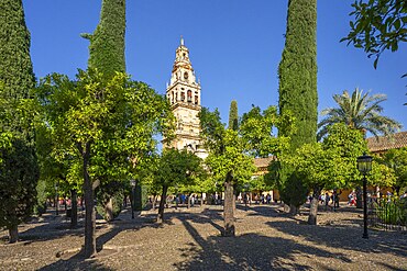 Mosque, Mezquita, Cordoba, Andalusia, Spain