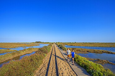 Beach of Barril, Tavira, Algarve, Portugal