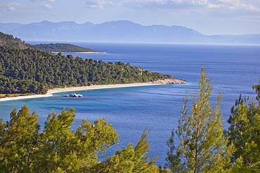 Milia Beach, Skopelos, Sporades Island group, Greek Islands, Greece, Europe