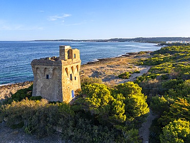 Sabea tower, Gallipoli, Lecce, Salento, Apulia, Italy