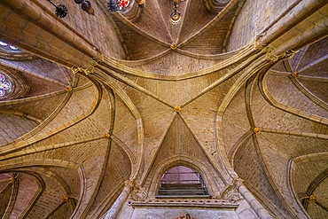 Santa María De León Cathedral, León, Castile and León, Spain, León, Castile and León, Spain