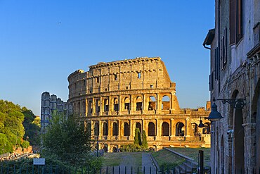 Colosseum, Roma, Lazio, Italy