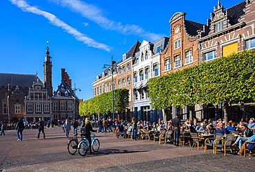 Market Square, Haarlem, North Holland, Netherlands, Europe