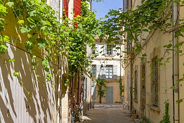 Arles, Provence-Alpes-Côte d'Azur, Bouches-du-Rhône, Arles-Crau-Camargue-Montagnette, Camargue, France