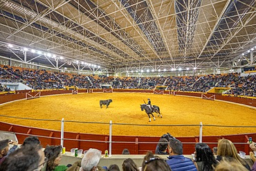 Plaza de toros, Illescas, Toledo, Virgen de la Caridad, Spain